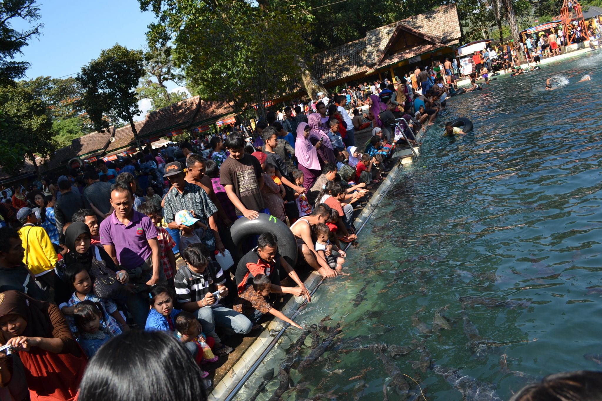 Sensasi Berenang Bersama Ikan Dewa di Objek Wisata Cibulan - KBK