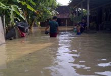 55 Juta Penduduk Pantura Berada dalam Zona Rawan Banjir Rob