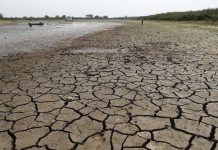 BMKG Ingatkan Kemarau 2026 Lebih Kering dari Rata-Rata 30 Tahun