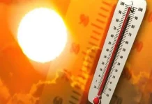El Nino Diprediksi Bertahan hingga Awal 2027, BMKG Ingatkan Risiko Kemarau Panjang