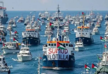 Global Sumud Flotilla Siap Berlayar Lagi Menembus Blokade Gaza Hari Ini