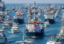 Jelang Konvoi Darat, Ini Persiapan Delegasi Global Sumud Flotilla