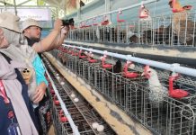 Press Touring Ramadan, 50 Jurnalis Ikut Jelajahi Program Pemberdayaan Dompet Dhuafa