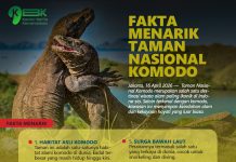 Fakta Menarik Taman Nasional Komodo