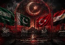 Arab Saudi, Mesir, Pakistan dan Turki (akan) Bentuk Aliansi Keamanan