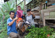 THK Dompet Dhuafa, Jembatan Kebaikan dari Panggung Musik ke Negeri Terpencil
