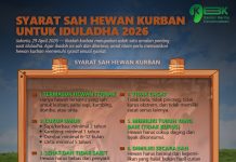 Syarat Sah Hewan Kurban untuk Iduladha 2026