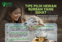 Tips Pilih Hewan Kurban yang Sehat