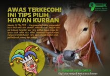Awas Terkecoh! Ini Tips Pilih Hewan Kurban