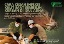 Cara Cegah Infeksi Kulit saat Sembelih Kurban di Idul Adha