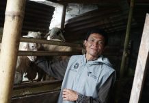 Dompet Dhuafa Bantu Peternak Lereng Gunung Lepas dari Jerat Tengkulak