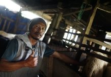 Domba Kurban Mitra Dompet Dhuafa Tembus 41 Kg, Peternak di Semarang Panen Hasil Pendampingan