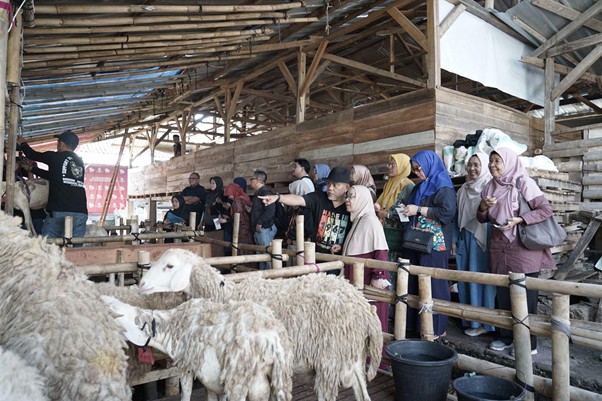 Jelajah-Kandang-untuk-Kurban-2026-1