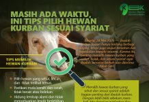 Masih Ada Waktu, Ini Tips Pilih Hewan Kurban sesuai Syariat