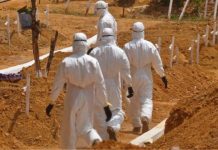 Separuh Pengidap Virus Ebola Meninggal
