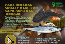 Cara Bedakan Siomay dari Ikan Sapu-sapu dan Tenggiri