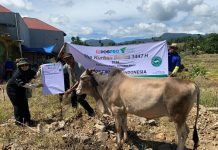 Dompet Dhuafa Jabar Salurkan Kurban ke Penyintas Bencana di Agam Sumbar