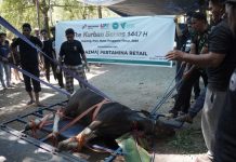 UPZ Bazma Pertamina Retail dan Dompet Dhuafa Tebar 53 Hewan Kurban untuk 658 Penerima Manfaat