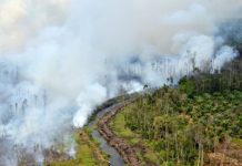 200 Titik Panas Terdeteksi, Kalbar Tetapkan Siaga Darurat Bencana Asap