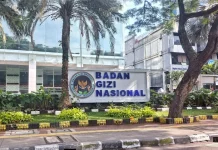 261 Pegawai BGN Dipecat, Ratusan Dapur MBG Ditutup karena Tak Penuhi Standar