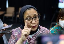 Nanik Deyang Mundur dari Jabatan Kepala BGN