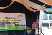 Dompet Dhuafa Luncurkan Program Kebun Pangan Madaya di PTGL Sukabumi