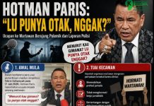 Hotman Paris Dilaporkan ke Polisi