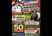 Kasus Pembunuhan Tapir, Gubernur Lampung Siapkan Hadiah Rp50 Juta untuk Tangkap Tapir Hidup-Hidup