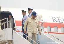 Karhutla Kalbar Tembus 38 Ribu Hektare, Apa Langkah Prabowo?