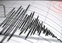 Bantul Diguncang Gempa M 3,6