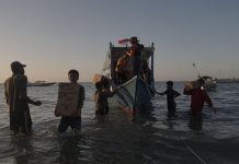 Saat Laut Jadi Jalan Harapan bagi Penyintas Gempa Flores