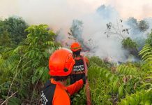 Dompet Dhuafa Tembus Medan Sulit, Bantu Padamkan Karhutla di Kalteng