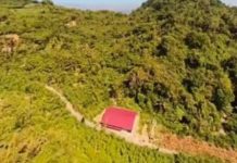 Istana Buka Suara soal Viral Bangunan Koperasi Desa Merah Putih di Kaki Gunung Ciremai