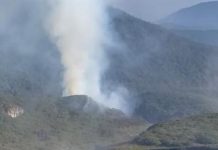 Kebakaran Lahan di Gunung Gede Pangrango, Pendakian Ditutup hingga 11 Agustus