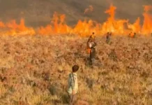 Angin Kencang Bikin Karhutla Bromo Meluas, Seluruh Akses Wisata Ditutup