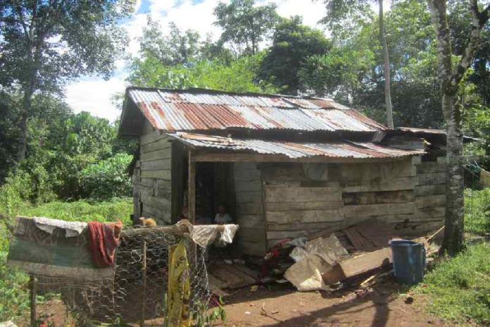 ada-340-ribu-rumah-tidak-layak-huni-pemprov-ntt-alihkan-prioritas-pembangunan-Y5WcCfJua1