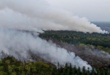 Malaysia Tutup 600 Sekolah Gegara Karhutla di Kalimantan