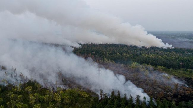 karhutla Kalimantan