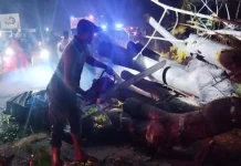 Mobil Rombongan Warga Pidie Tertimpa Pohon Besar Tumbang, 7 Orang Meninggal