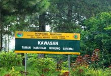 Rawan Karhutla, Kemenhut Tutup Sementara Jalur Pendakian di 9 Taman Nasional