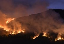 Kebakaran Bromo Makin Besar dan Meluas, Wisata Ditutup Total