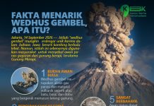 Fakta Menarik Wedhus Gembel, Apa Itu?