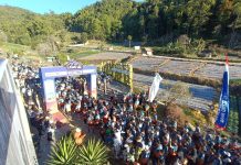 Lawu Fun Run 2026 Dorong Ekonomi Lokal, dari UMKM hingga Penginapan di Sarangan