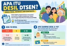 Apa Itu Desil?