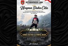 Sesak Napas, Relawan Karhutla Kalimantan Aries Sutio Meninggal Dunia