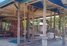 Melihat Bangunan Kayu di NTT Tahan Gempa M7,7: Dinding Runtuh, Rangka Rumah Warga Tetap Berdiri