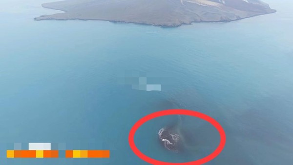 daratan-baru-di-gunung-anak-krakatau-1790146233493_169