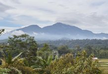 Rencana Geothermal Gunung Ungaran Tuai Penolakan, Warga Khawatir Ganggu Lingkungan dan Cagar Budaya