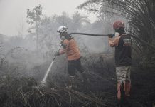 Dompet Dhuafa Berjibaku Padamkan Karhutla Kotim di Tengah Angin Kencang dan Minim Air