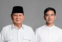 Dua Tahun Pemerintah Prabowo, Ditandai Belanja Bernilai Jumbo